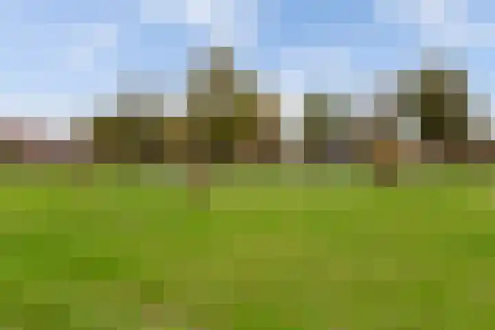 Asserdreef 62 Maassluis thumbnail 47