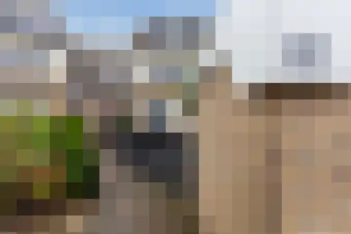 Asserdreef 62 Maassluis thumbnail 5