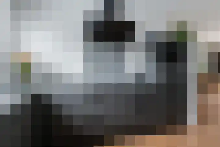 Asserdreef 66 Maassluis thumbnail 10