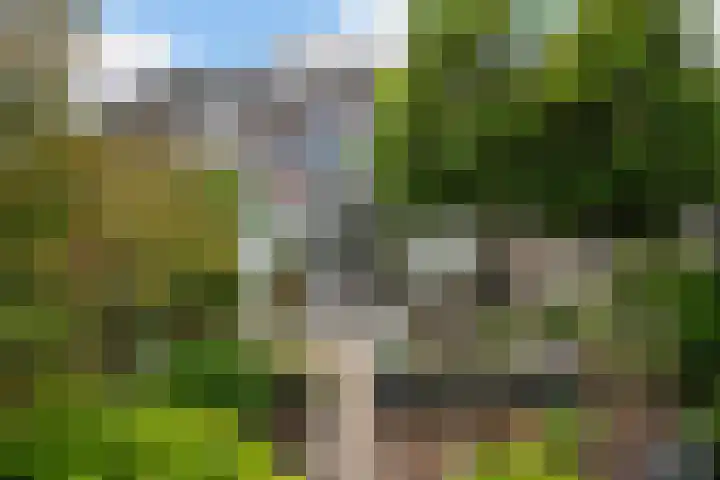 Asserdreef 66 Maassluis thumbnail 13