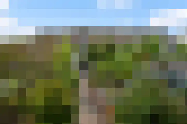 Asserdreef 66 Maassluis thumbnail 14
