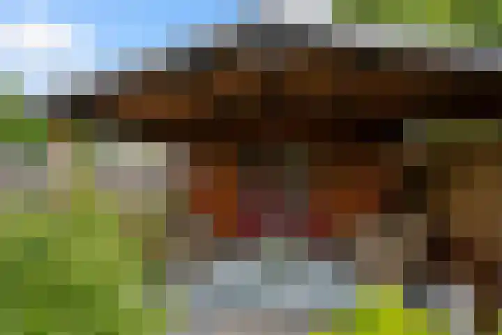 Asserdreef 66 Maassluis thumbnail 17