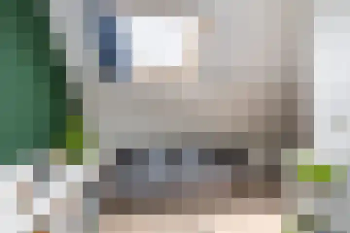 Asserdreef 66 Maassluis thumbnail 36