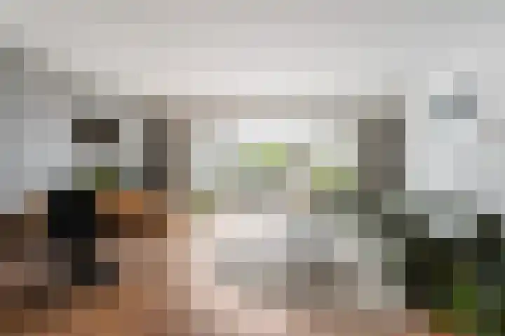 Asserdreef 66 Maassluis thumbnail 45