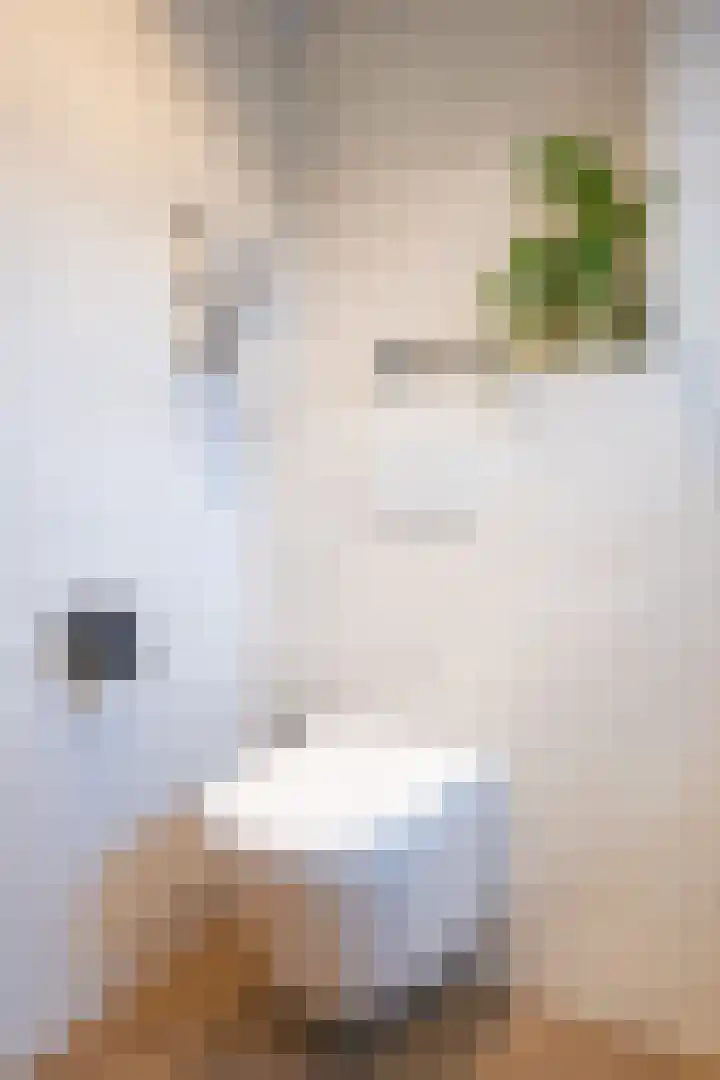 Asserstraat 2 Vlaardingen thumbnail 14