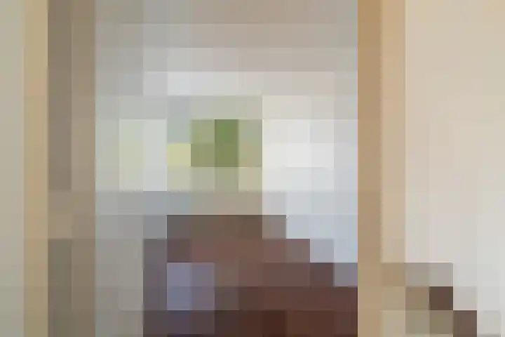 Asserstraat 2 Vlaardingen thumbnail 18