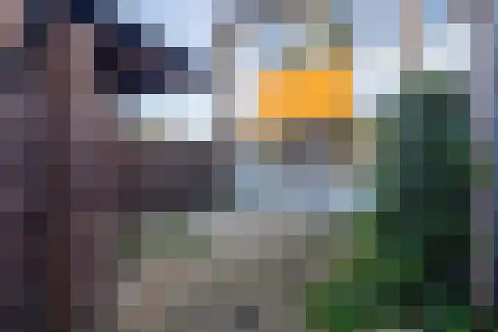 Asserstraat 2 Vlaardingen thumbnail 26