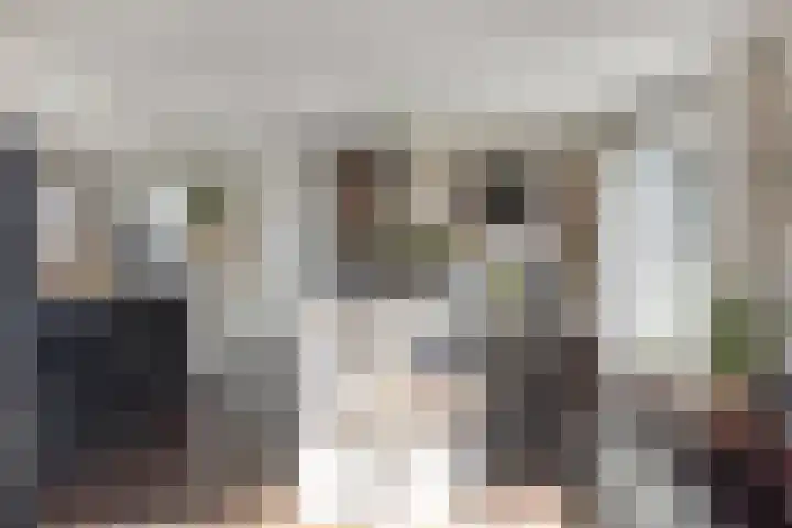Asserstraat 51 Norg thumbnail 11