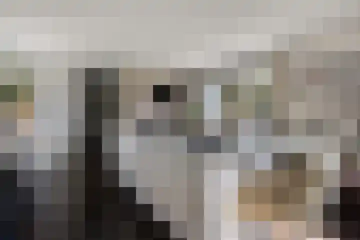 Asserstraat 51 Norg thumbnail 13