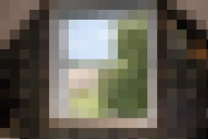 Asserstraat 51 Norg thumbnail 25
