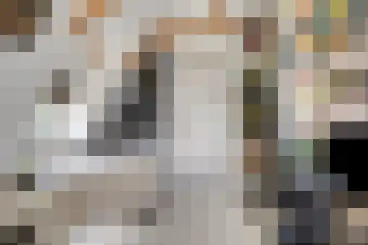 Asserstraat 51 Norg thumbnail 28