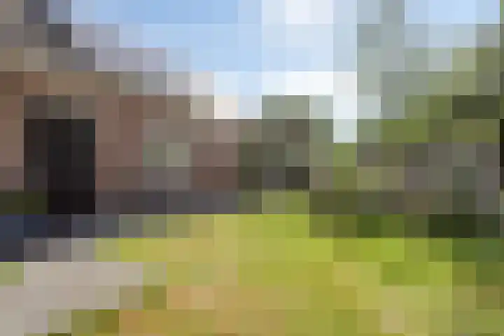 Asserstraat 51 Norg thumbnail 38