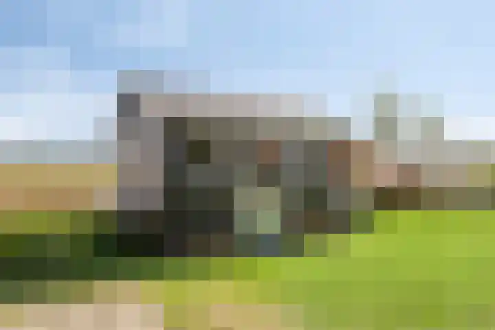 Asserstraat 51 Norg thumbnail 41