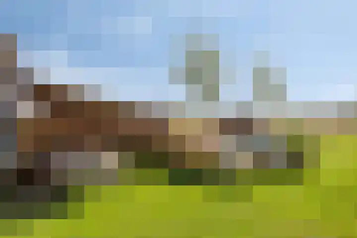 Asserstraat 51 Norg thumbnail 46