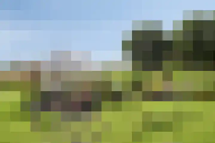 Asserstraat 51 Norg thumbnail 47