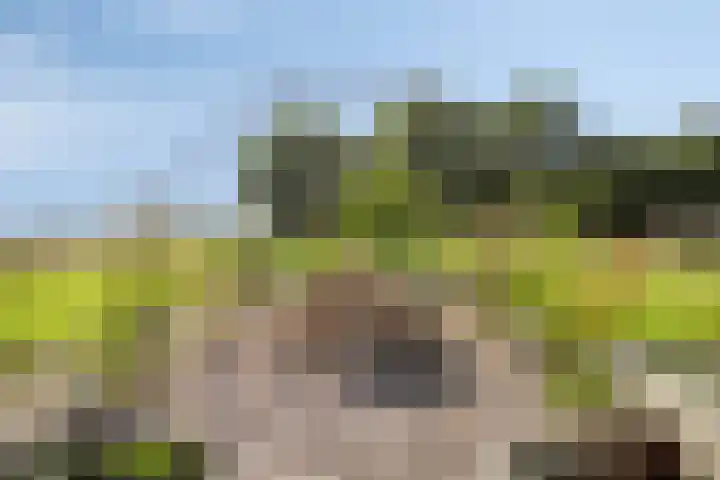 Asserstraat 51 Norg thumbnail 49