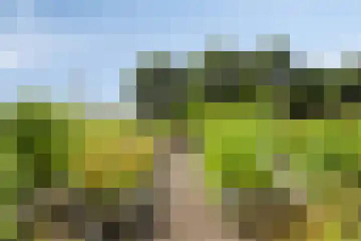 Asserstraat 51 Norg thumbnail 50