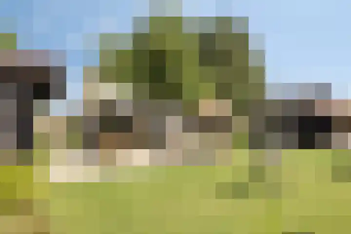 Asserstraat 51 Norg thumbnail 51