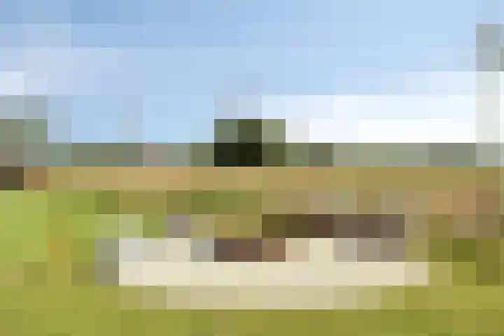 Asserstraat 51 Norg thumbnail 52