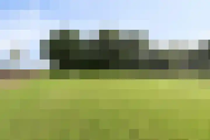 Asserstraat 51 Norg thumbnail 57