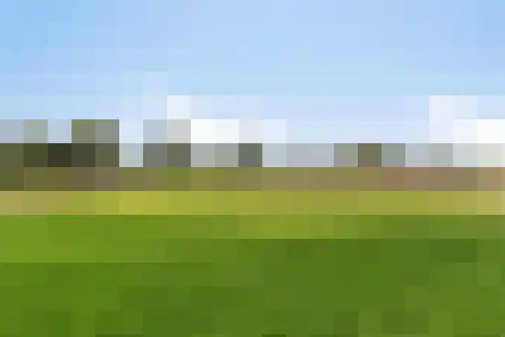 Asserstraat 51 Norg thumbnail 58