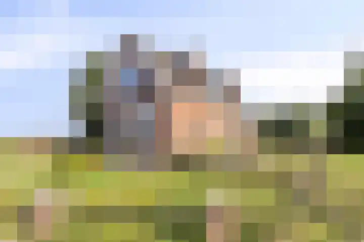 Asserstraat 51 Norg thumbnail 65