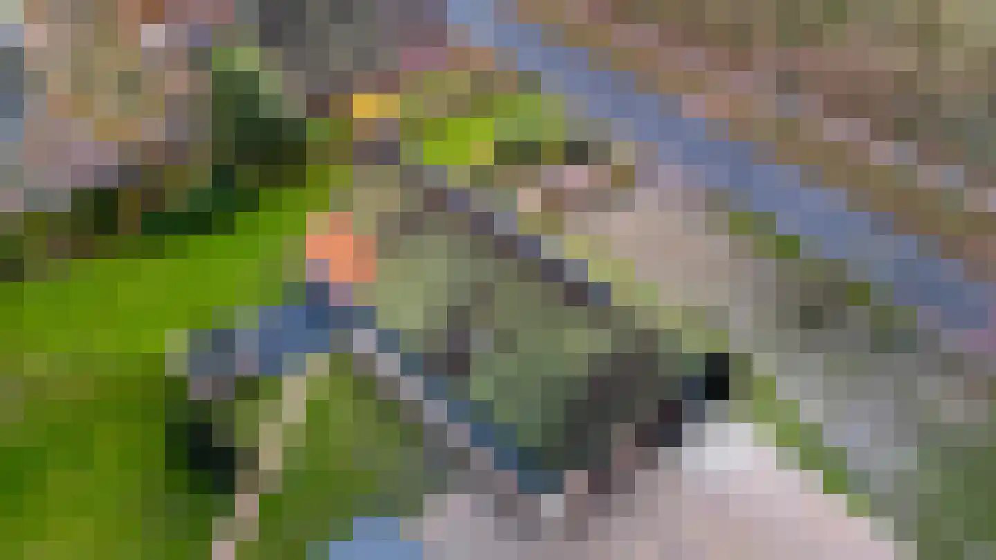 Asserstraat 87 Zuidvelde thumbnail 33