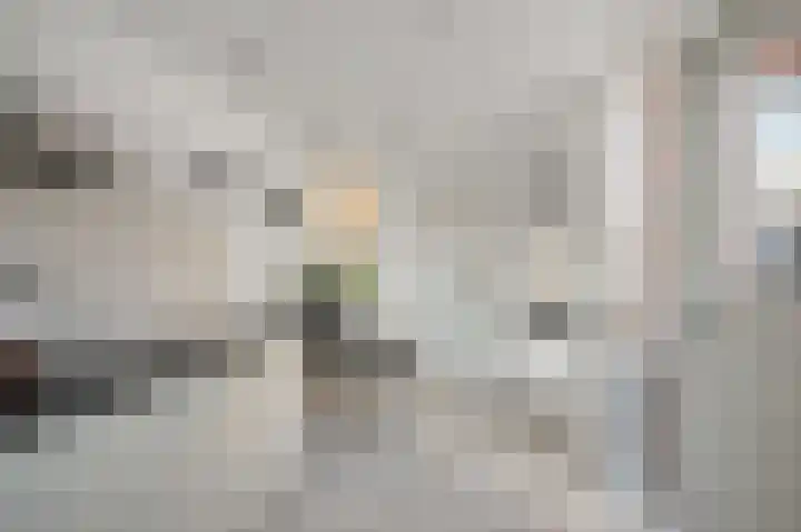Assum 2 Uitgeest thumbnail 11