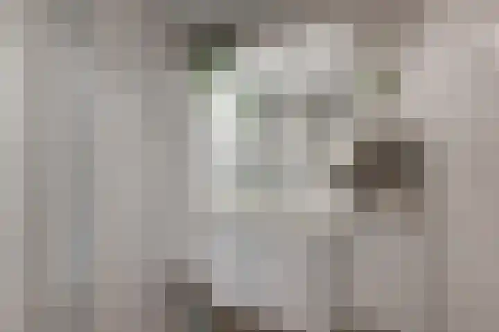 Assum 2 Uitgeest thumbnail 17