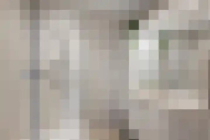 Assum 2 Uitgeest thumbnail 18