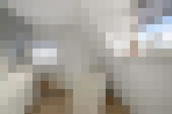 Assum 2 Uitgeest thumbnail 21