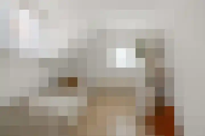 Assum 2 Uitgeest thumbnail 24