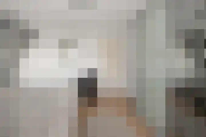Assum 2 Uitgeest thumbnail 29
