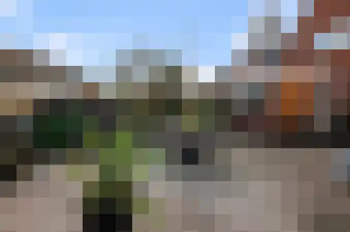 Assum 2 Uitgeest thumbnail 34
