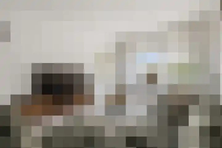 Assum 2 Uitgeest thumbnail 5