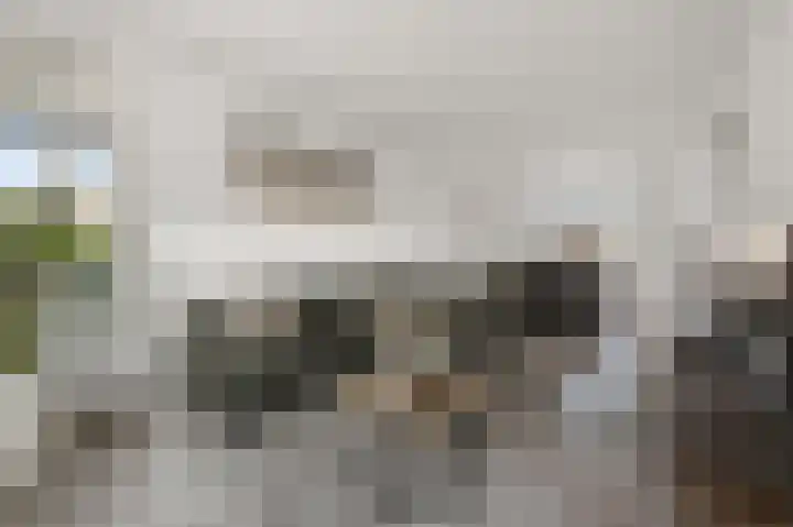 Assum 2 Uitgeest thumbnail 7