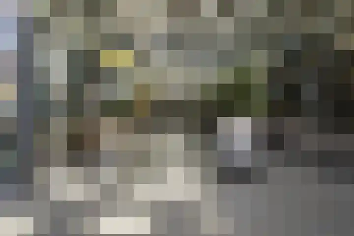 Assumburg 102 Amsterdam thumbnail 22