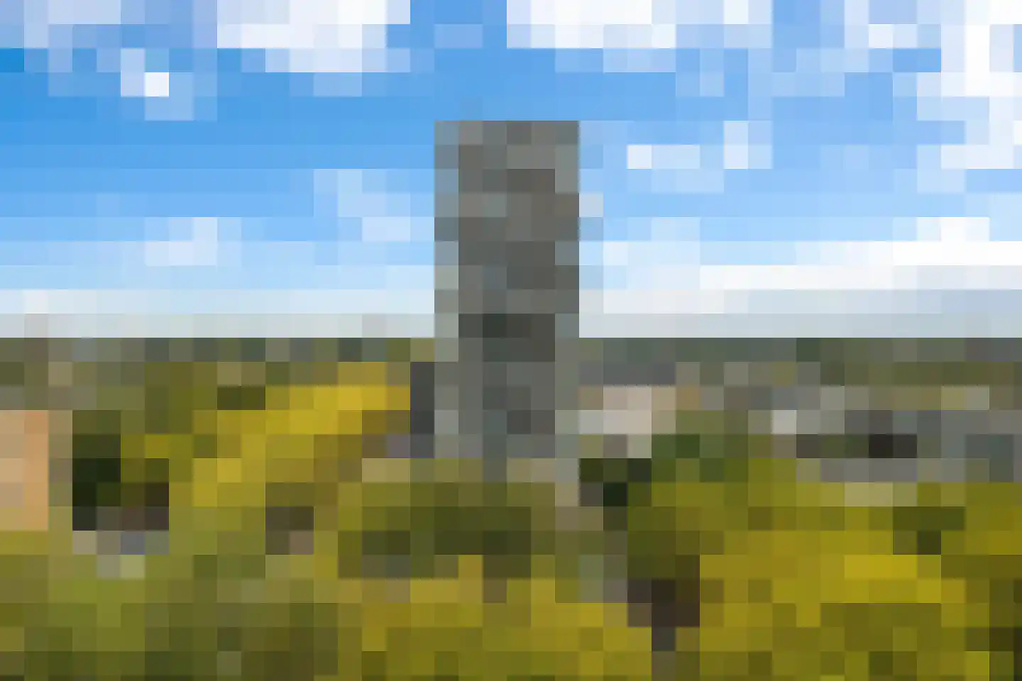 Assumburg 126 Amsterdam thumbnail 16