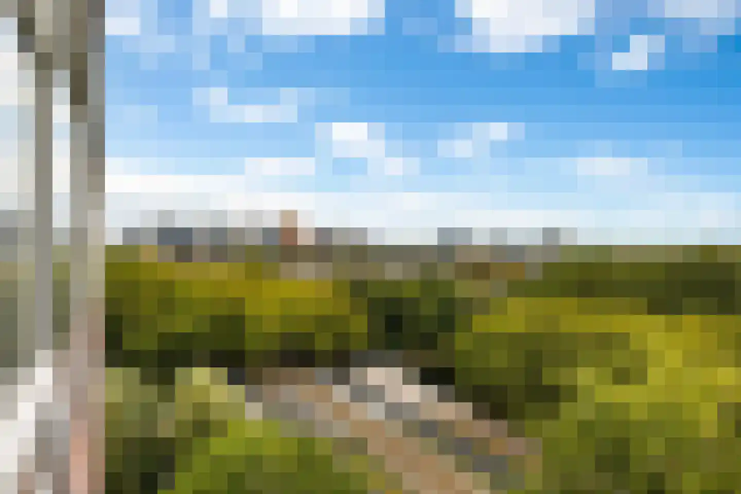 Assumburg 126 Amsterdam thumbnail 23