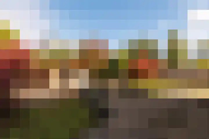 Assumburg 61 Lelystad thumbnail 44
