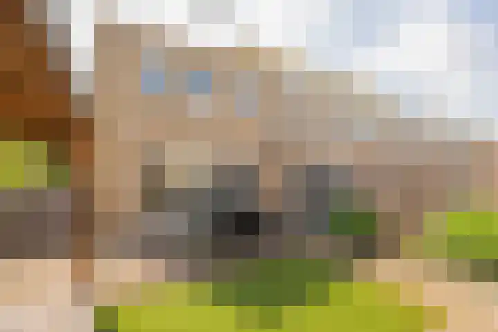 Assumburgh 21 Hillegom thumbnail 15