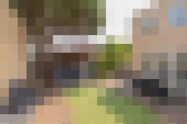 Assumburgh 21 Hillegom thumbnail 16