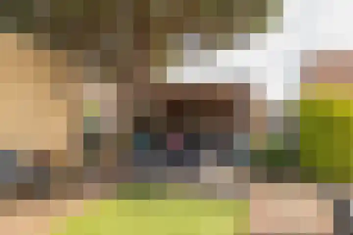 Assumburgh 21 Hillegom thumbnail 17