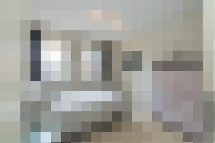 Assumburgh 21 Hillegom thumbnail 28