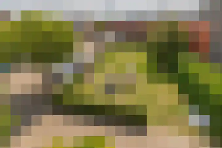 Assumburgh 21 Hillegom thumbnail 42