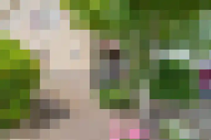 Assumburgh 21 Hillegom thumbnail 43