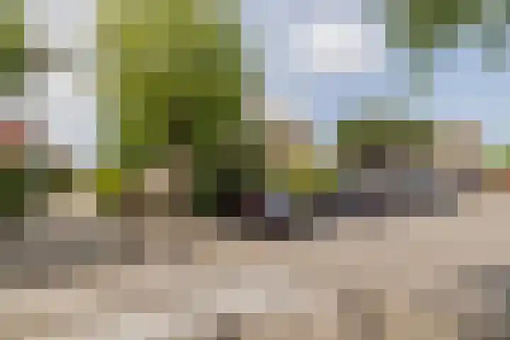 Assumburgh 21 Hillegom thumbnail 44