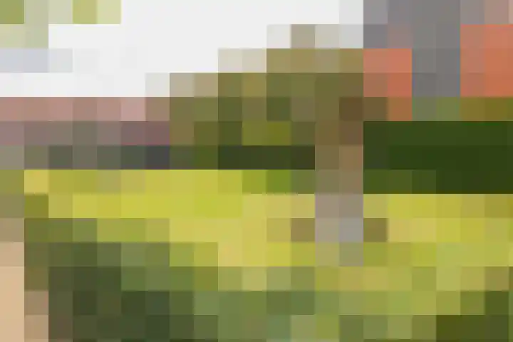 Assumburgh 21 Hillegom thumbnail 46