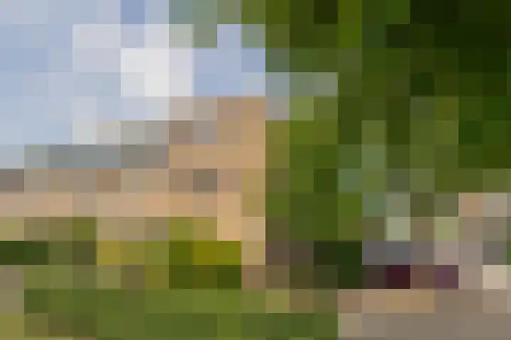Assumburgh 21 Hillegom thumbnail 51