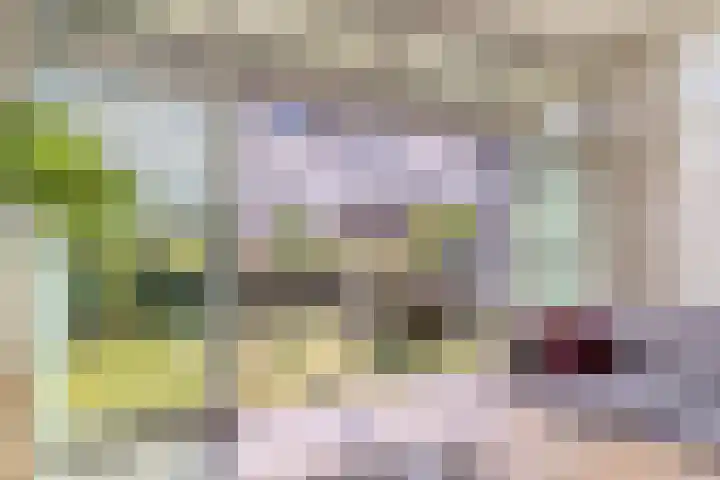 Assumburglaan 2 Obdam thumbnail 10
